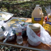 ingredients2-640x409