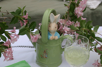 Hey, there's a bunny in my watering can!