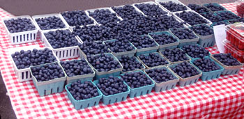 blueberries