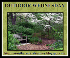 Go see some great outdoor photos at Outdoor Wednesday with A Southern Daydreamer.