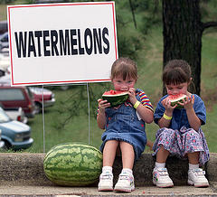 watermelon