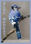 bluemonday1