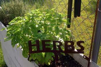 And some herbs