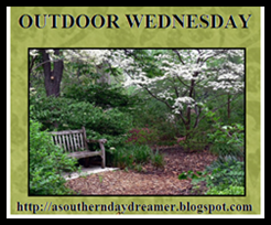 Outdoor Wednesday with A Southern Daydreamer