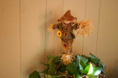 Good thing that scarecrow is there to keep the crows out of the house plants.