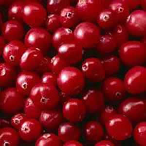 Cranberries!