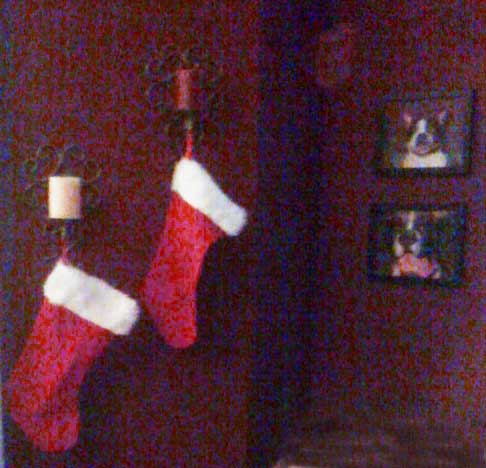 The stockings, next to the pictures of the doggies, Buddy and Buster.