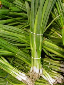 Green onions - sometimes called scallions - but never by me :)