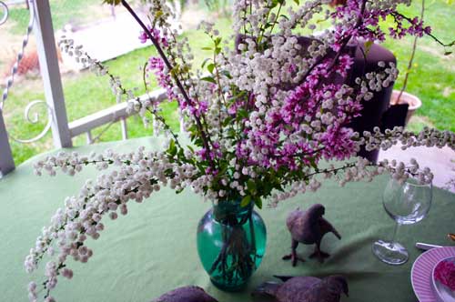 The "bridal wreath" and the redbud make a wonderful centerpiece for our dinner!