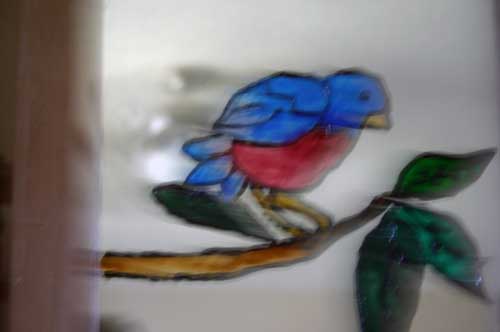 Galler Glass bluebird