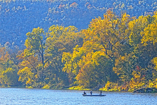 Fall color and trout fishing on the White River