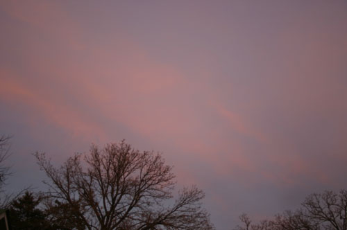 Pink Sky