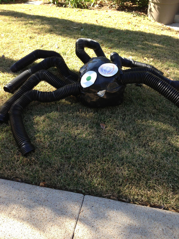 halloween spider