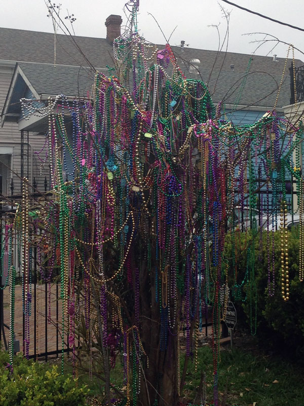 Does anyone else decorate a Mardi Gras tree? Here's mine. : r/NewOrleans