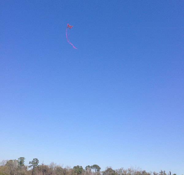kite above the trees