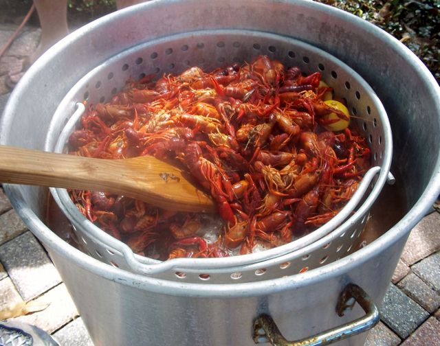 crawfish in pot (640x504)