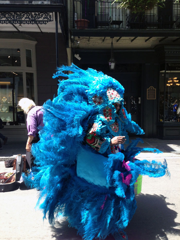 Mardi Gras Indian