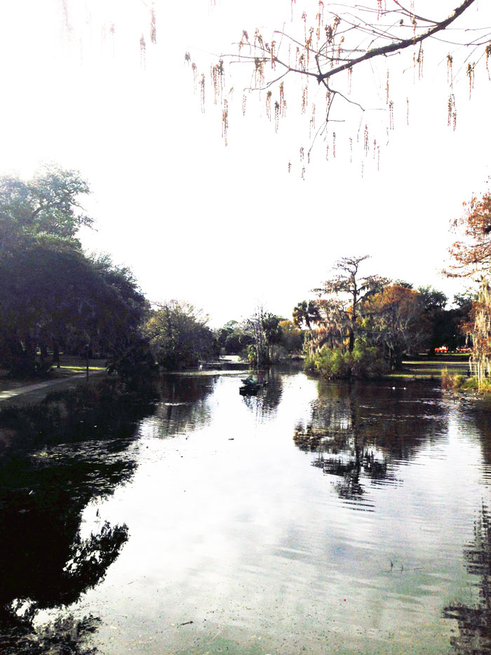 blue-bayou