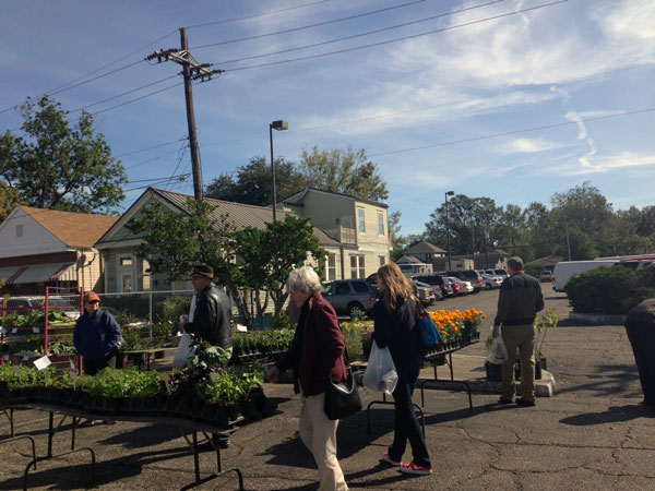 farmers-market-2